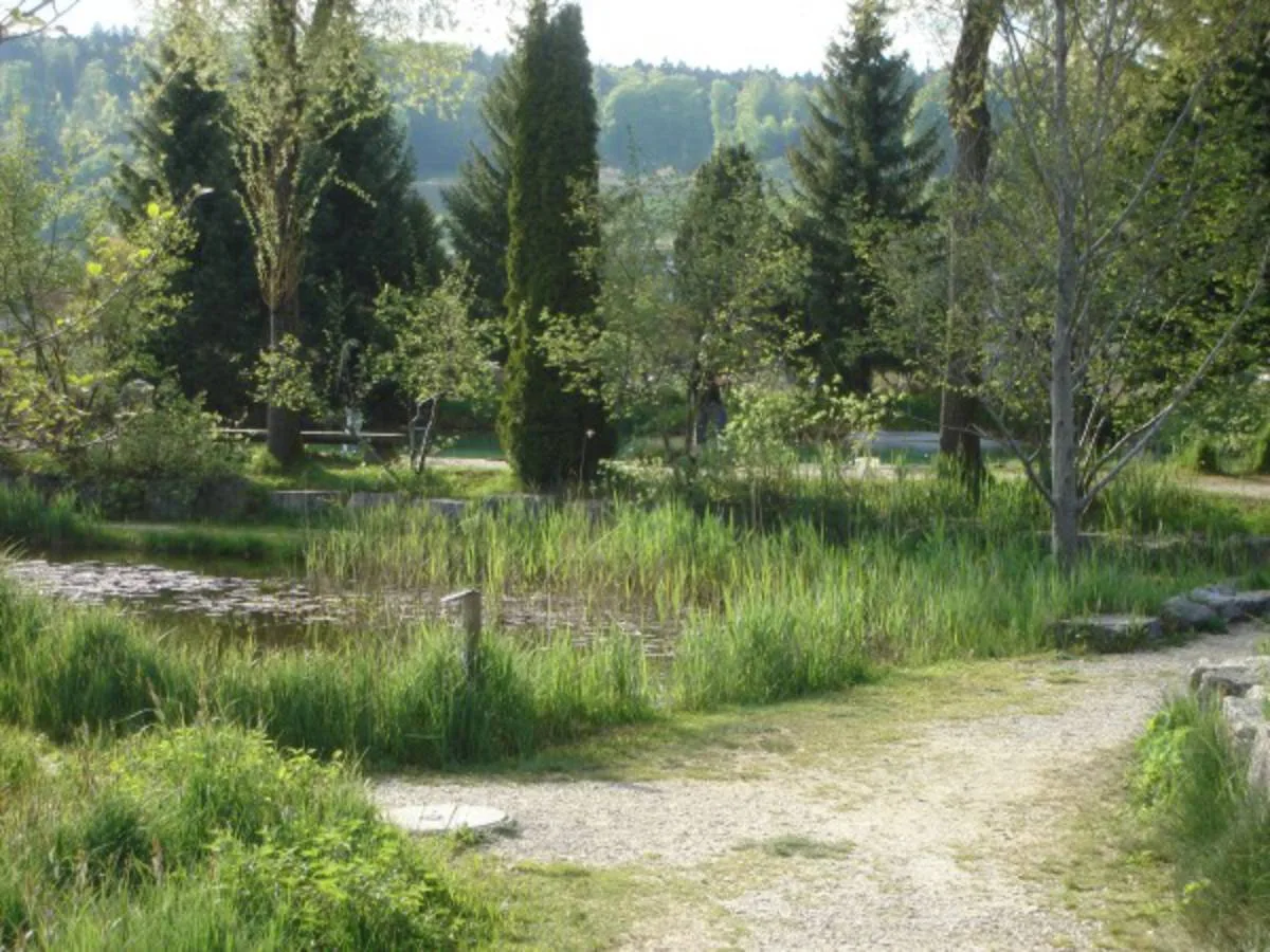Sommertag im Fischerei-Park (7)
