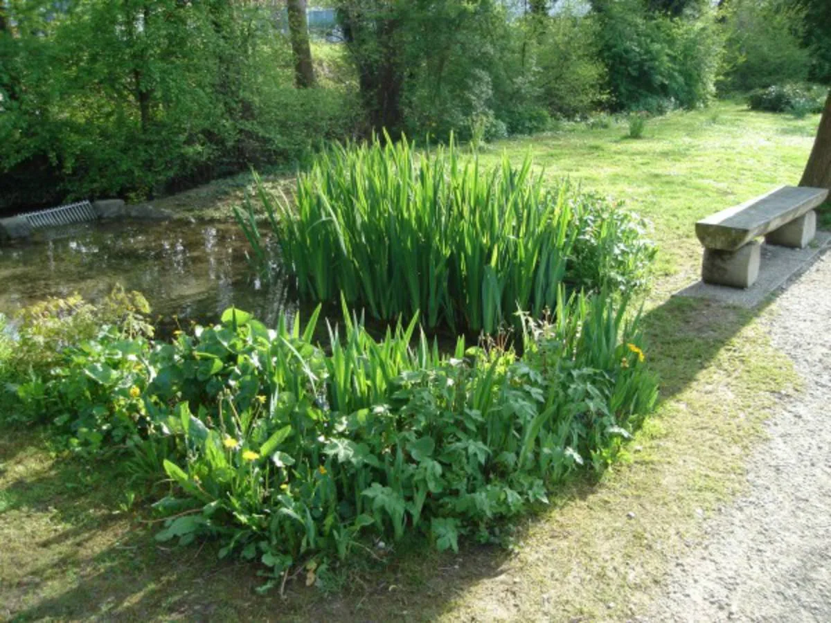 Sommertag im Fischerei-Park (10)
