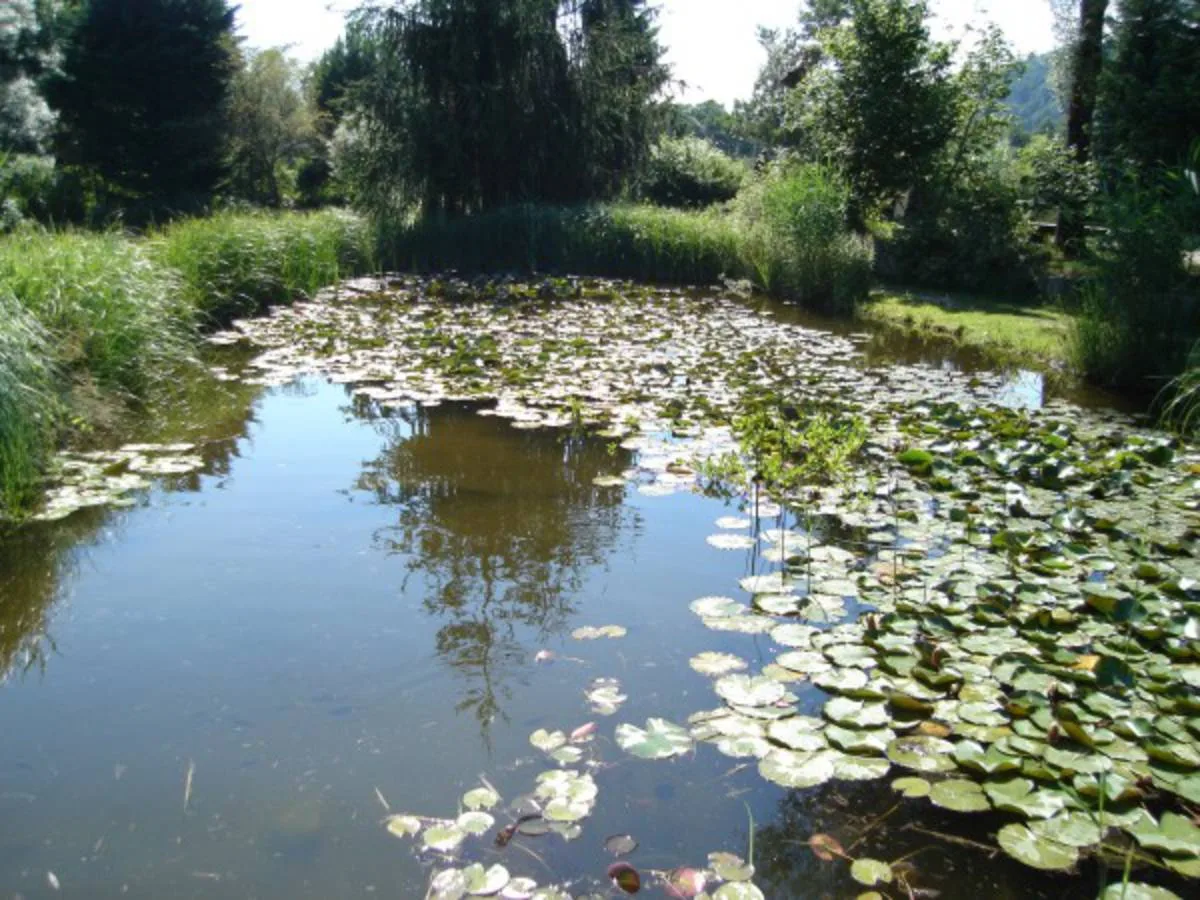Sommertag im Fischerei-Park (19)