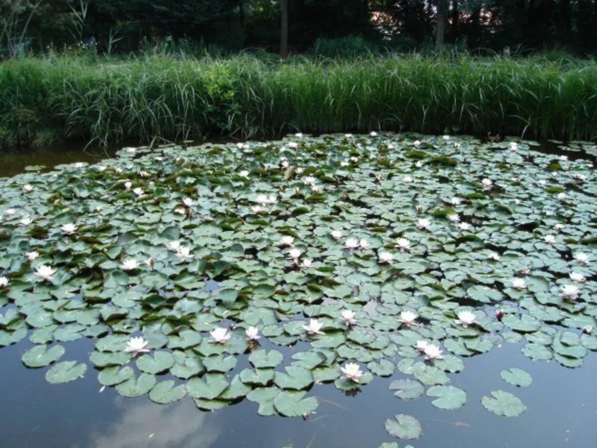 Sommertag im Fischerei-Park (22)