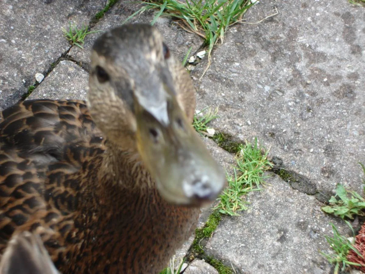 Tierische Freunde im Fischerei-Park (5)