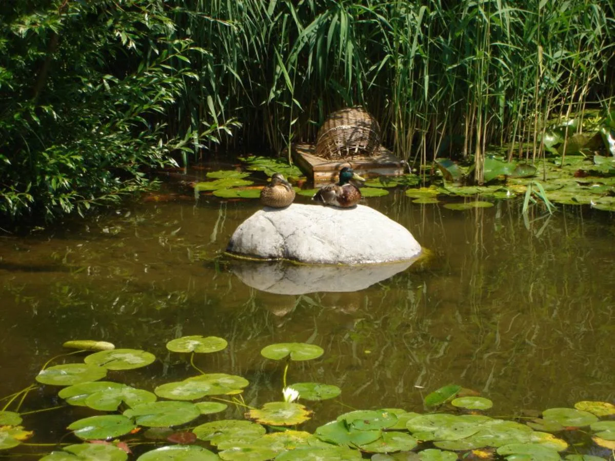 Tierische Freunde im Fischerei-Park (8)