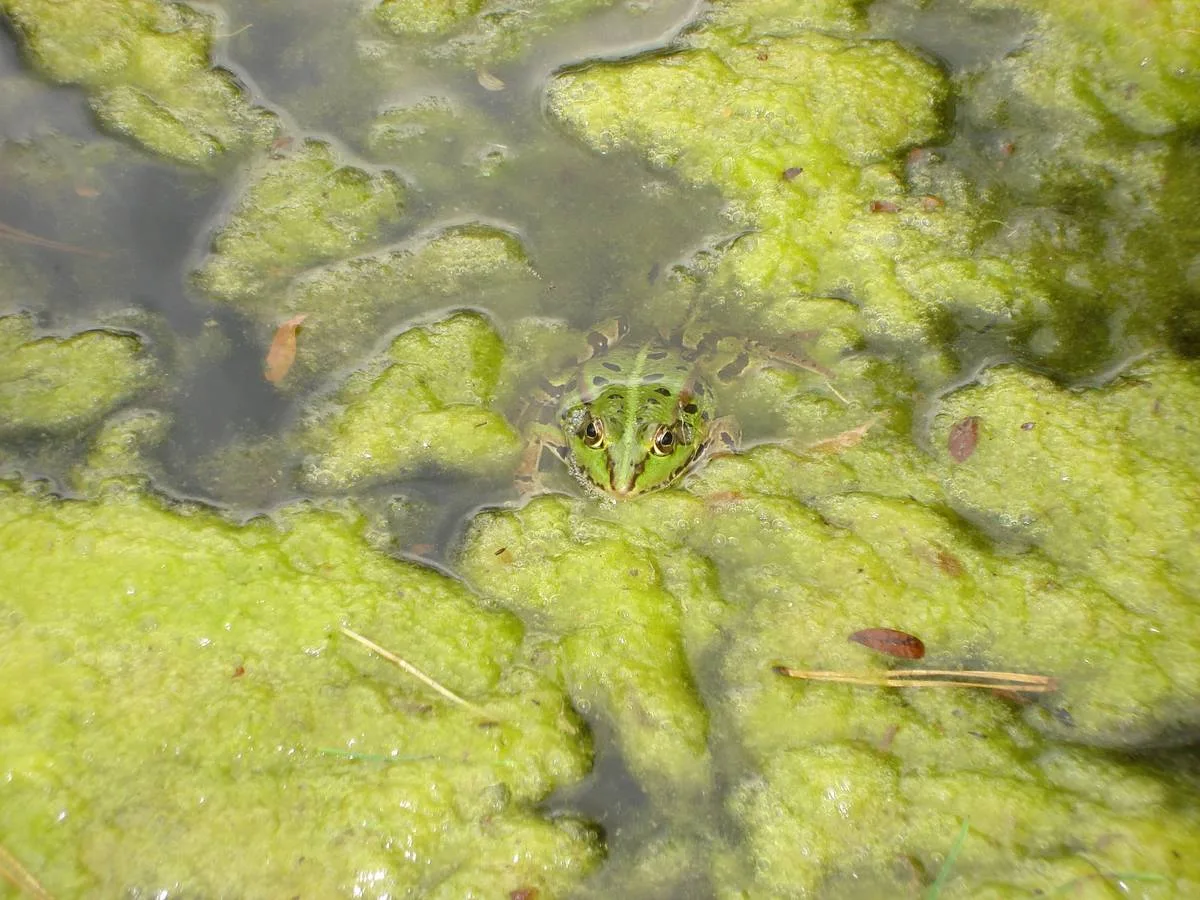 Tierische Freunde im Fischerei-Park (13)
