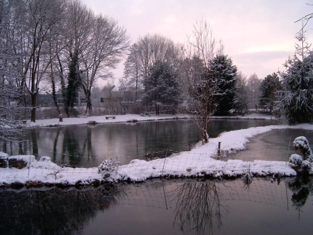 Winterstimmung im Fischerei-Park (1)