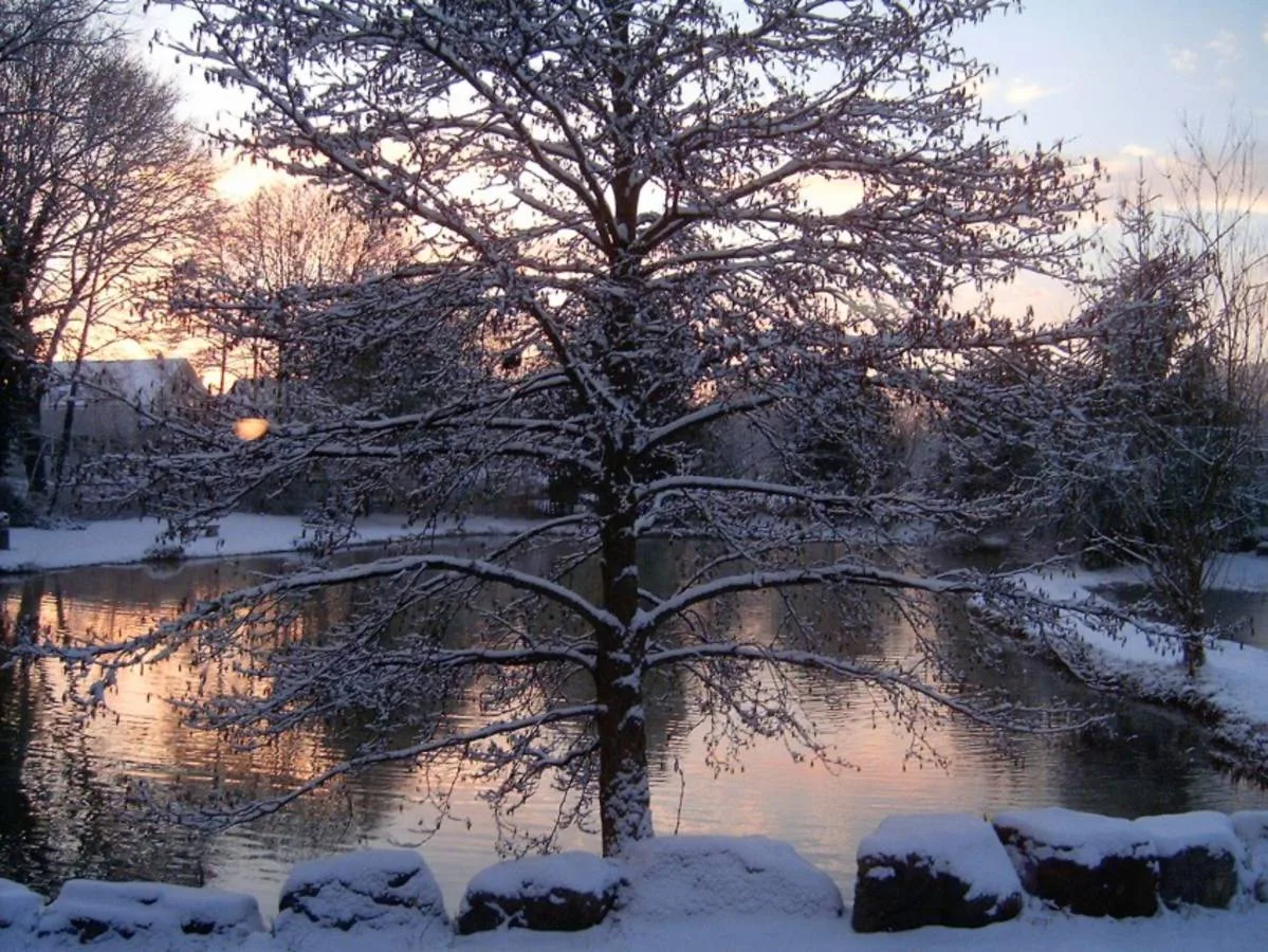 Winterstimmung im Fischerei-Park (2)