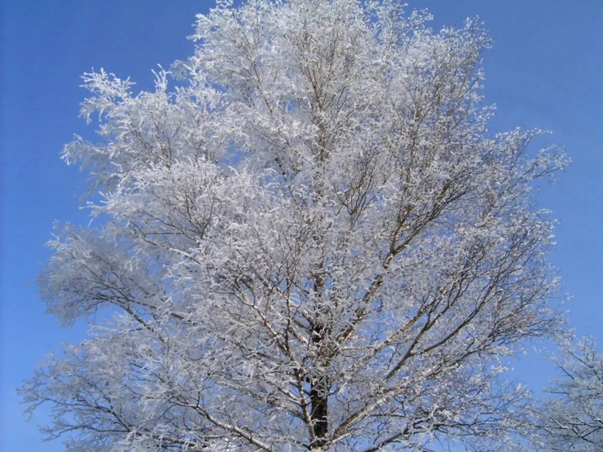 Winterstimmung im Fischerei-Park (5)