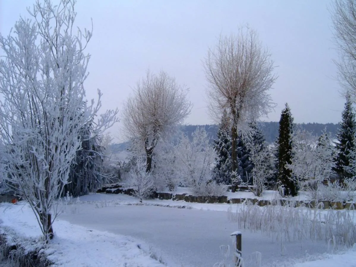 Winterstimmung im Fischerei-Park (6)