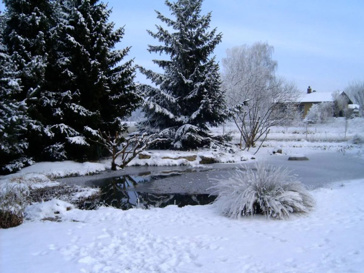 Winterstimmung im Fischerei-Park (8)
